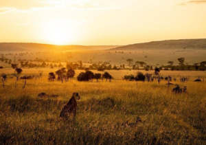 5-Day Tanzania Unlimited Adventure