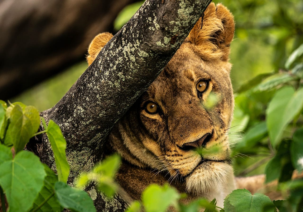 Lake Manyara